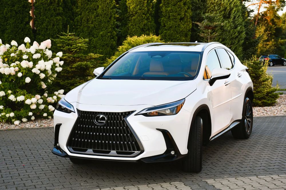 Lexus NX II (2021-) 2022