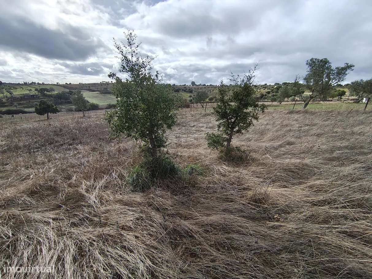 Terreno com dependência agricola - Grande imagem: 5/14