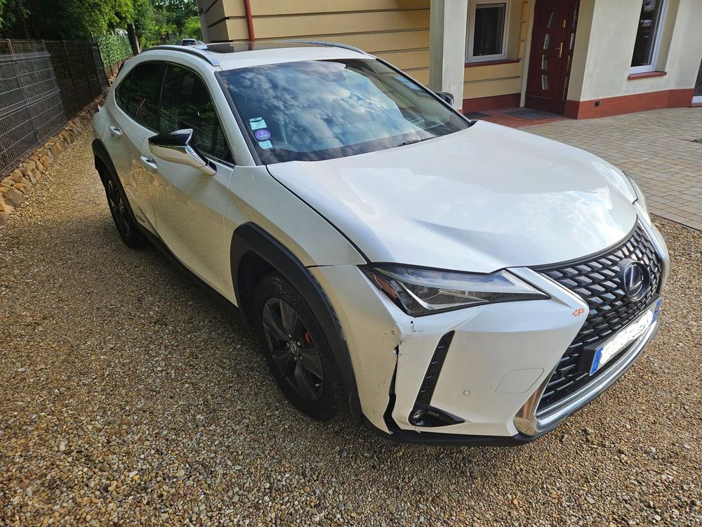 Lexus UX 250h (E-FOUR) Luxury Line 2019
