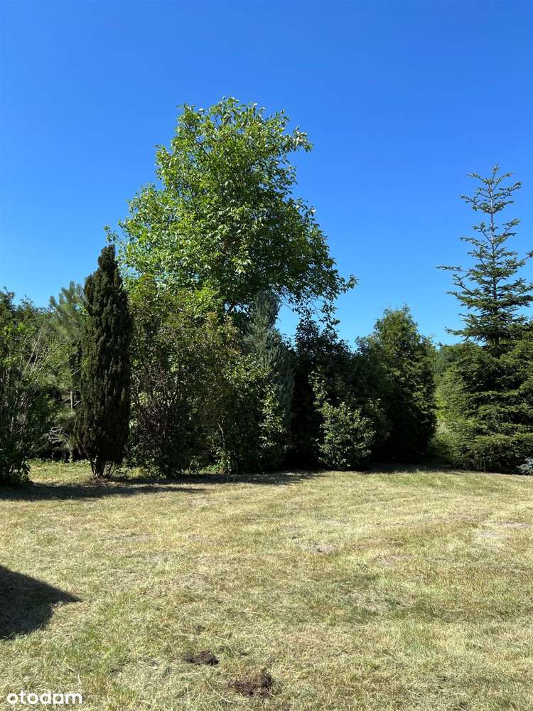 Dom na sprzedaż, Białobrzegi (gw), 3 pokoje - Pełny obrazek: 5/17