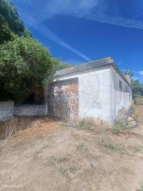 Arrecadação  para venda - Grande imagem: 5/5