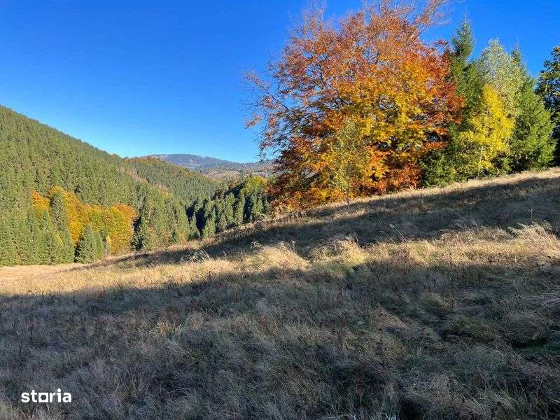 Teren de vanzare Catun Alunu - Baraj Dragan 2x2275 - Imagine principală: 4/8