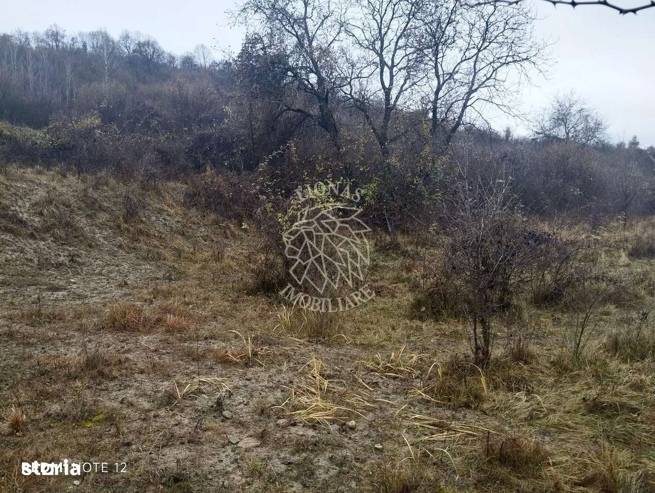Teren 1000 mp-ideal casa de vacanta, investitie-Zona Valea Budacului - Imagine principală: 4/4