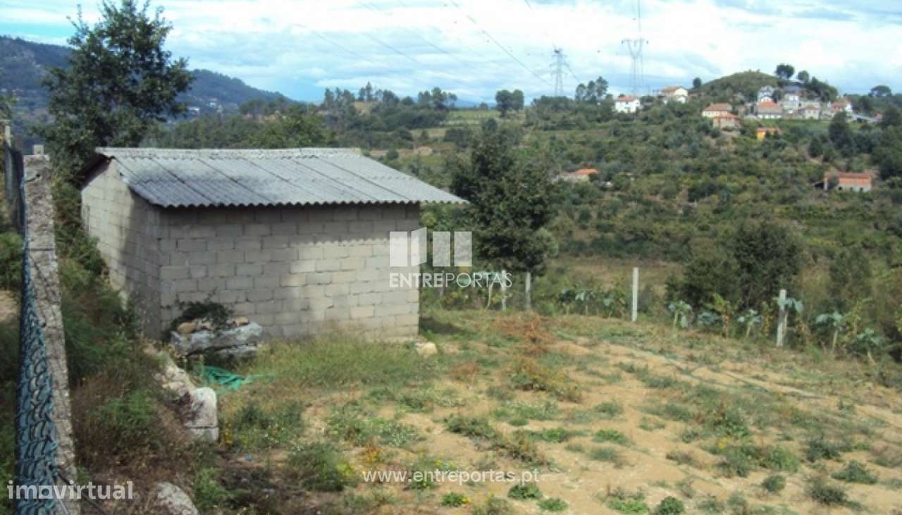Venda Terreno, Santiago de Piães, Cinfães - Grande imagem: 4/22