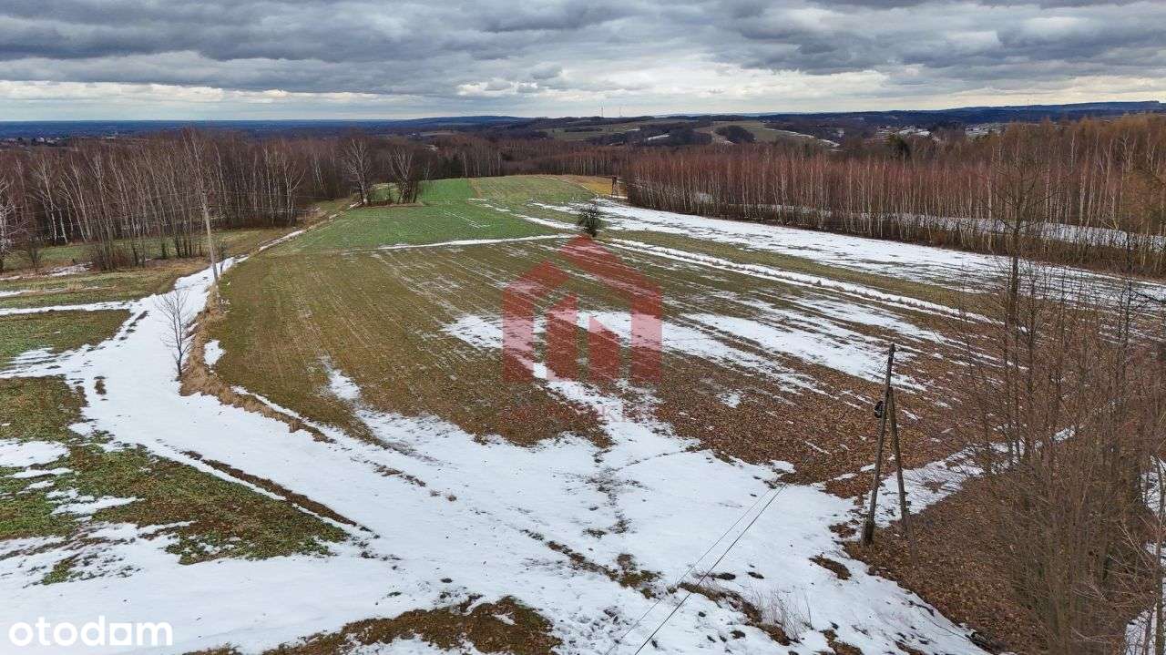 Ropczyce Tylko 4 Takie działki ul.Leśna-3