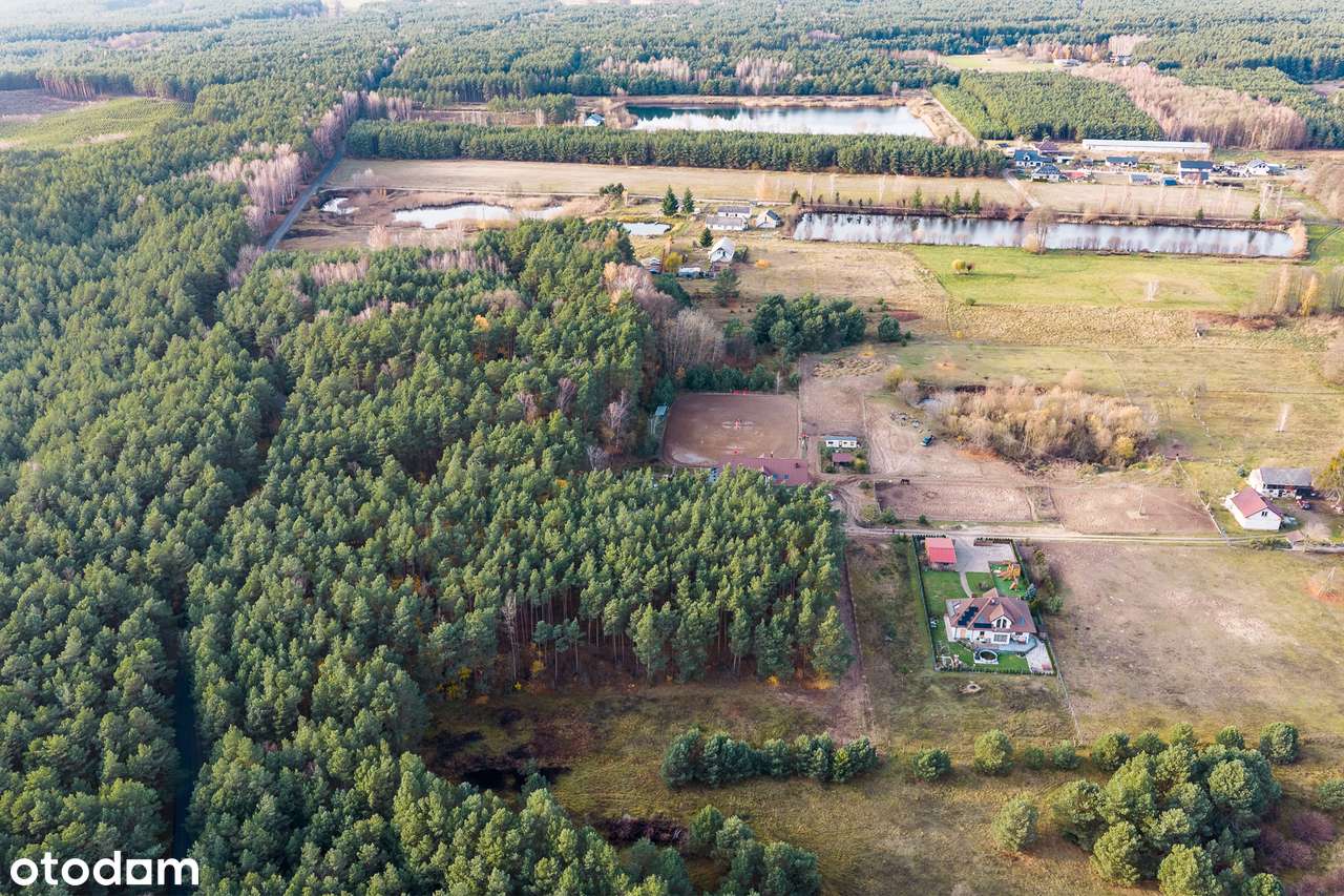 Działka pod lasem, idealna na Twój wymarzony dom, Sąsieczno! - Pełny obrazek: 5/8