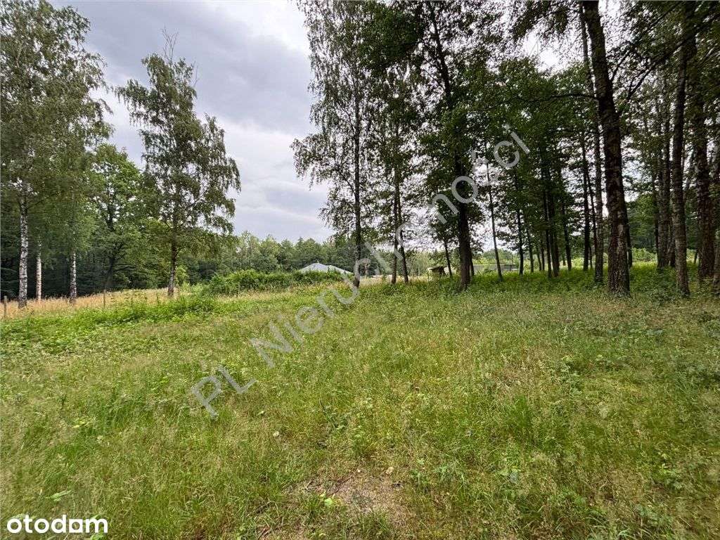 Buduj marzenia tuż przy lesie. - Pełny obrazek: 4/6