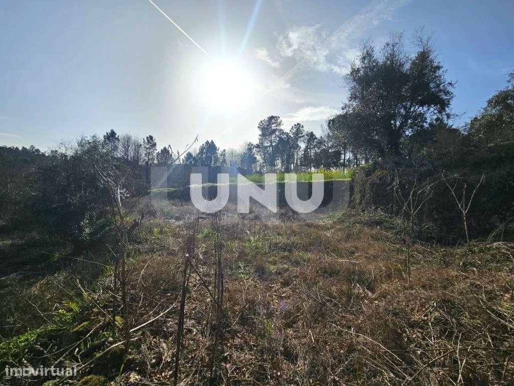 Terreno Rústico - Envolvente de Natureza - Grande imagem: 4/21