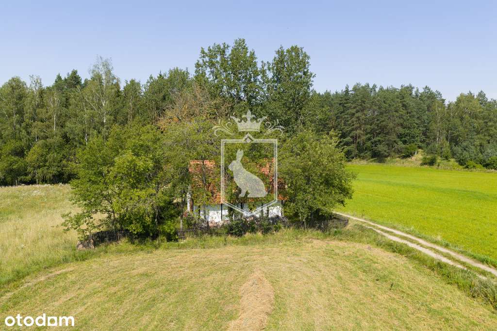 Piękne Siedlisko agroturystyczne w sercu Mazur-17