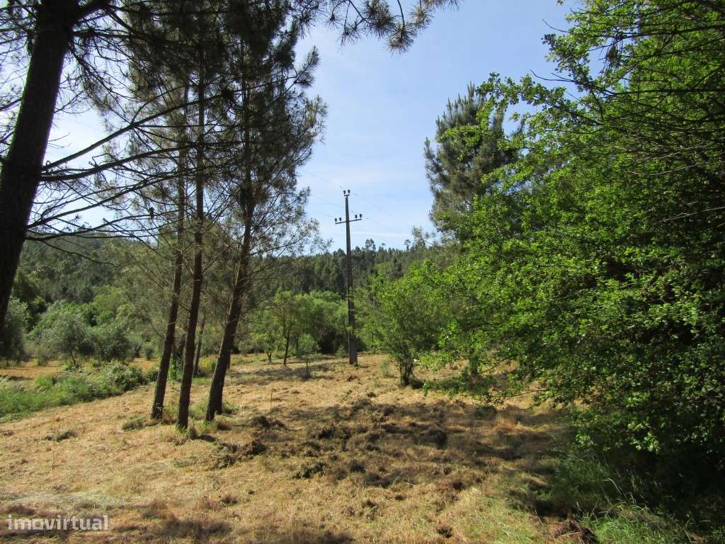 P26-238 Casal da Loba - Terreno Urbanizável no Centro de Portugal e...-13