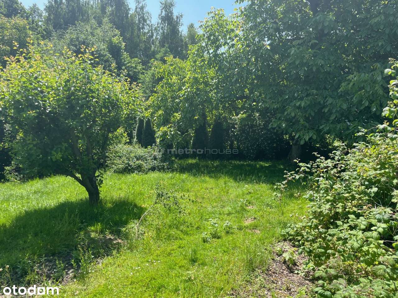 Mogilany - działka dla miłośników ogrodów. Polecam - Pełny obrazek: 5/15