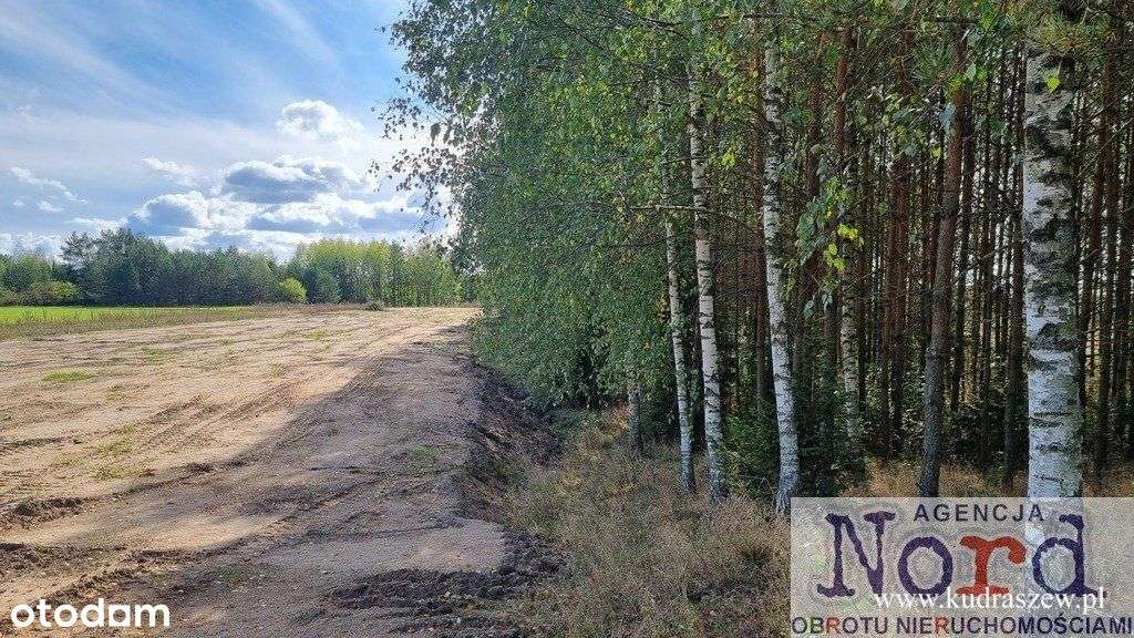 Działka z linią brzegową 66 M jeziora Dąbiel-7