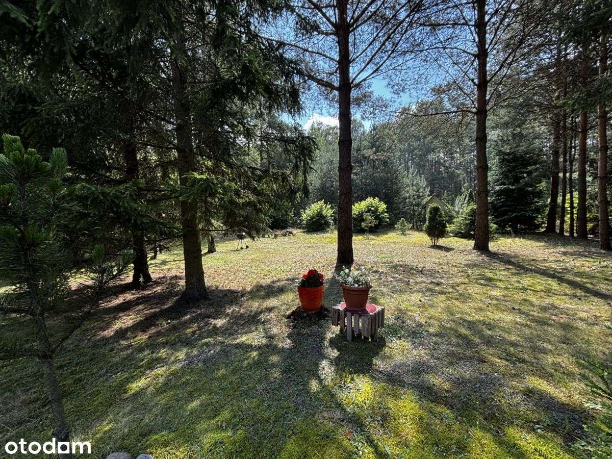 Działka z domkiem letniskowym Kwiatkowice Las-9