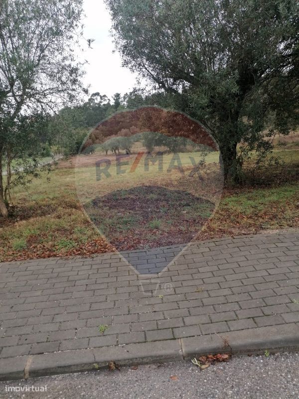 Terreno  para venda - Grande imagem: 1/3
