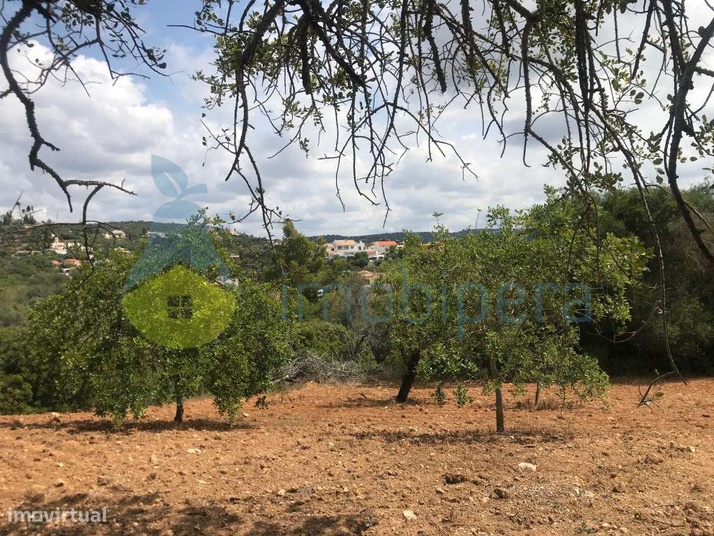 TERRENO RÚSTICO 1.200m2 ZONA BONITA E TRANQUILA - Grande imagem: 3/17