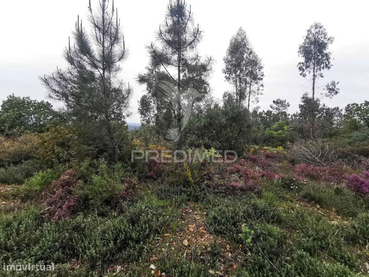 Terreno Rustico - Grande imagem: 5/30