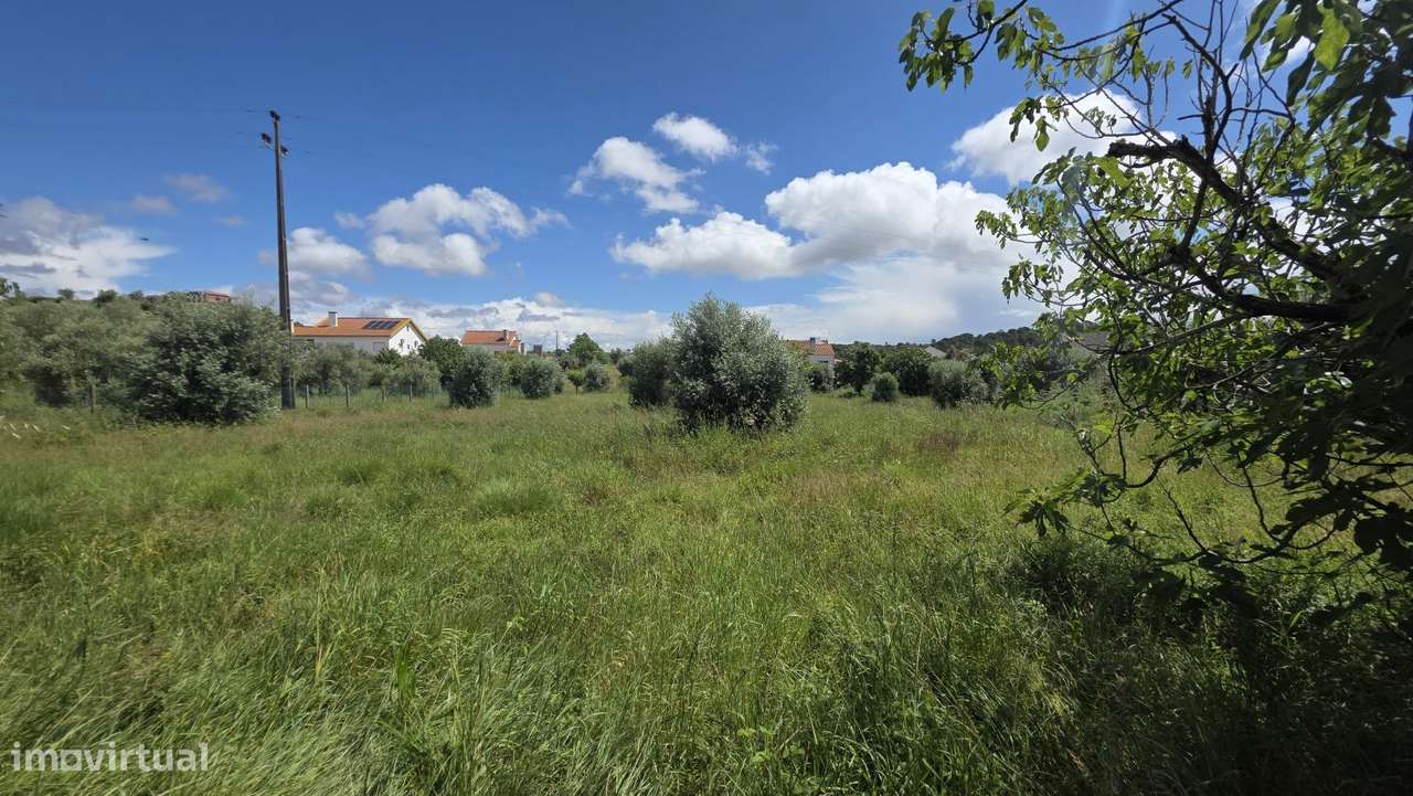 Excelente Terreno para Moradia a 5 kms de Tomar-16