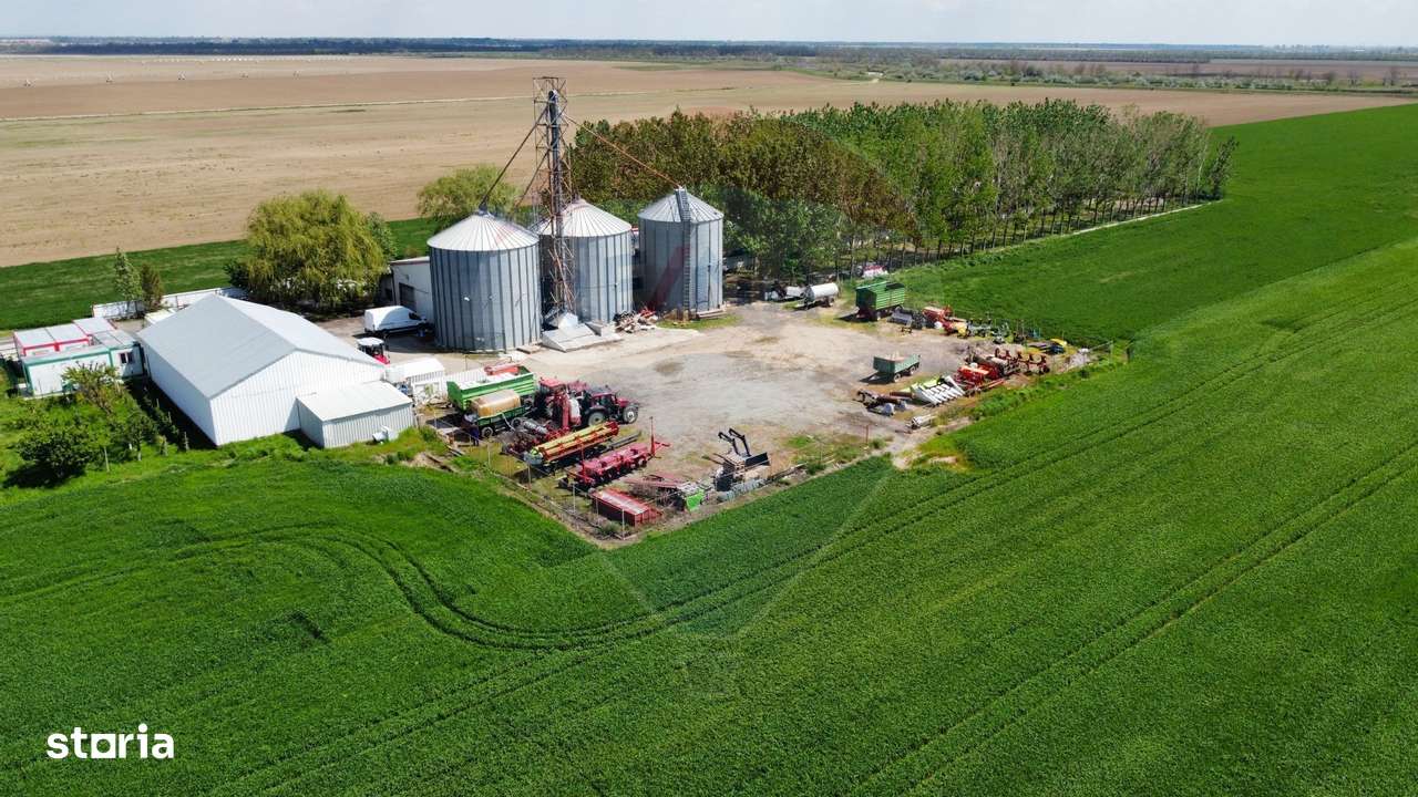 Ferma porcine la cheie - Imagine principală: 2/20