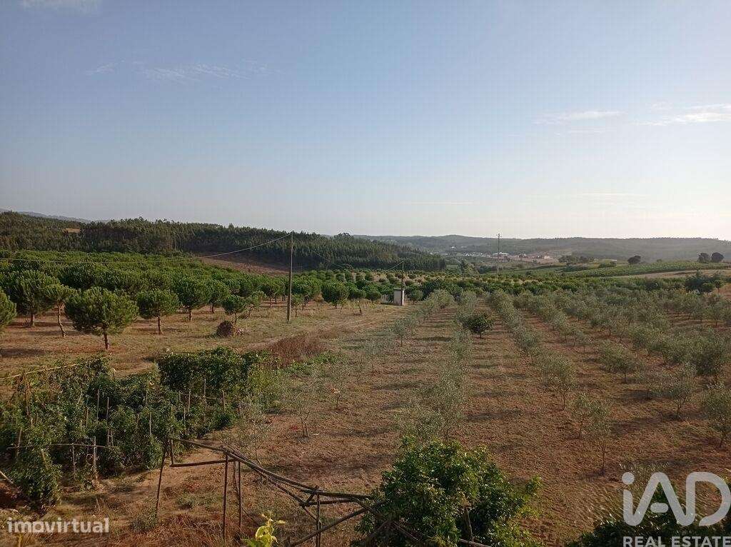 Terreno para construção em Cadaval e Pêro Moniz de 10000,00 m2 - Grande imagem: 5/30