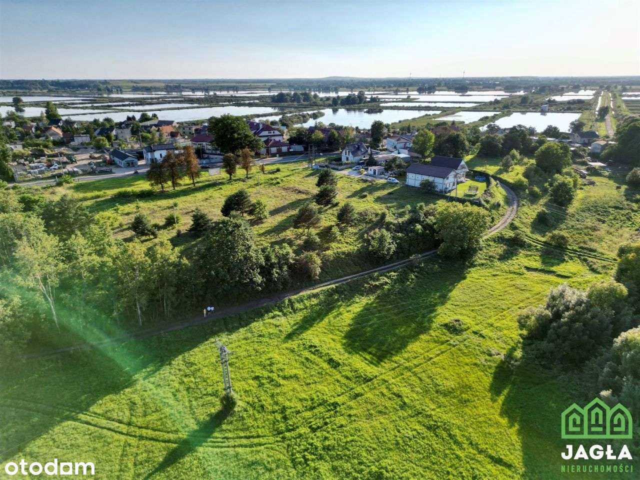 Działka w Występie w otoczeniu natury blisko drogi - Pełny obrazek: 4/14