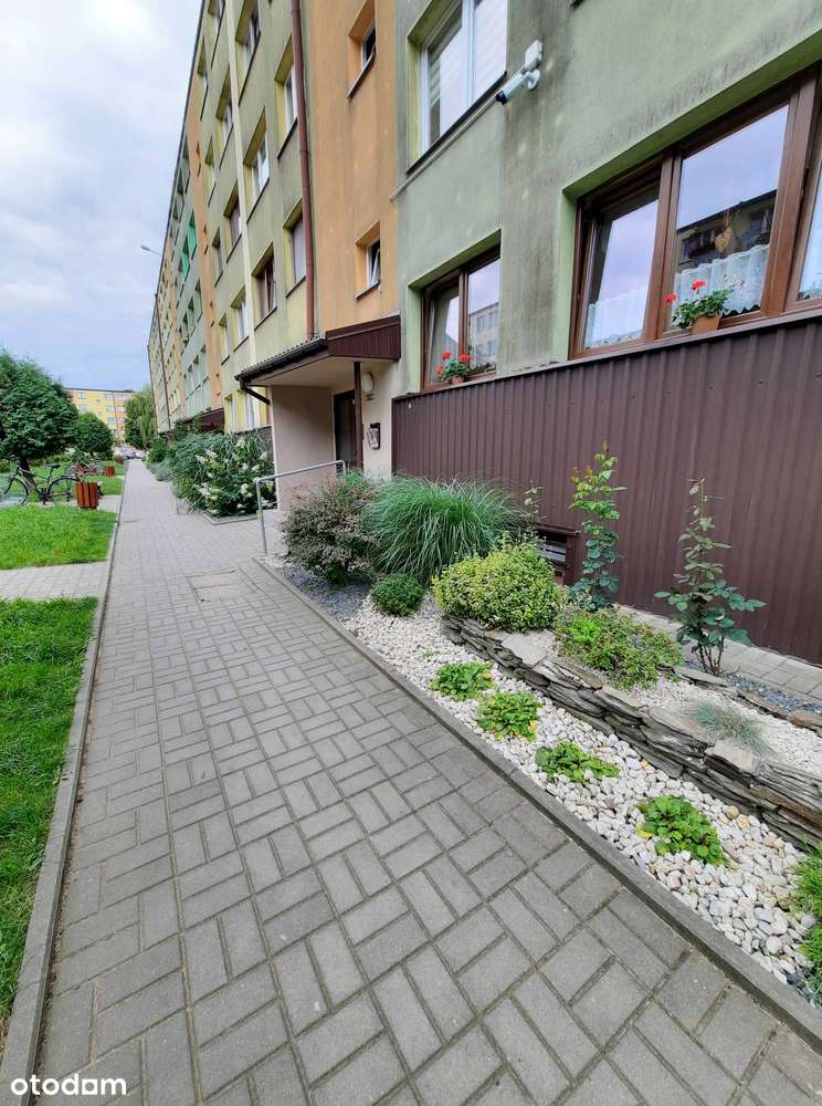 3-POKOJOWE MIESZKANIE W CENTRUM (48,17 m²) – OS. WOLNOŚĆ, PIĘTRO 4 - Pełny obrazek: 4/13