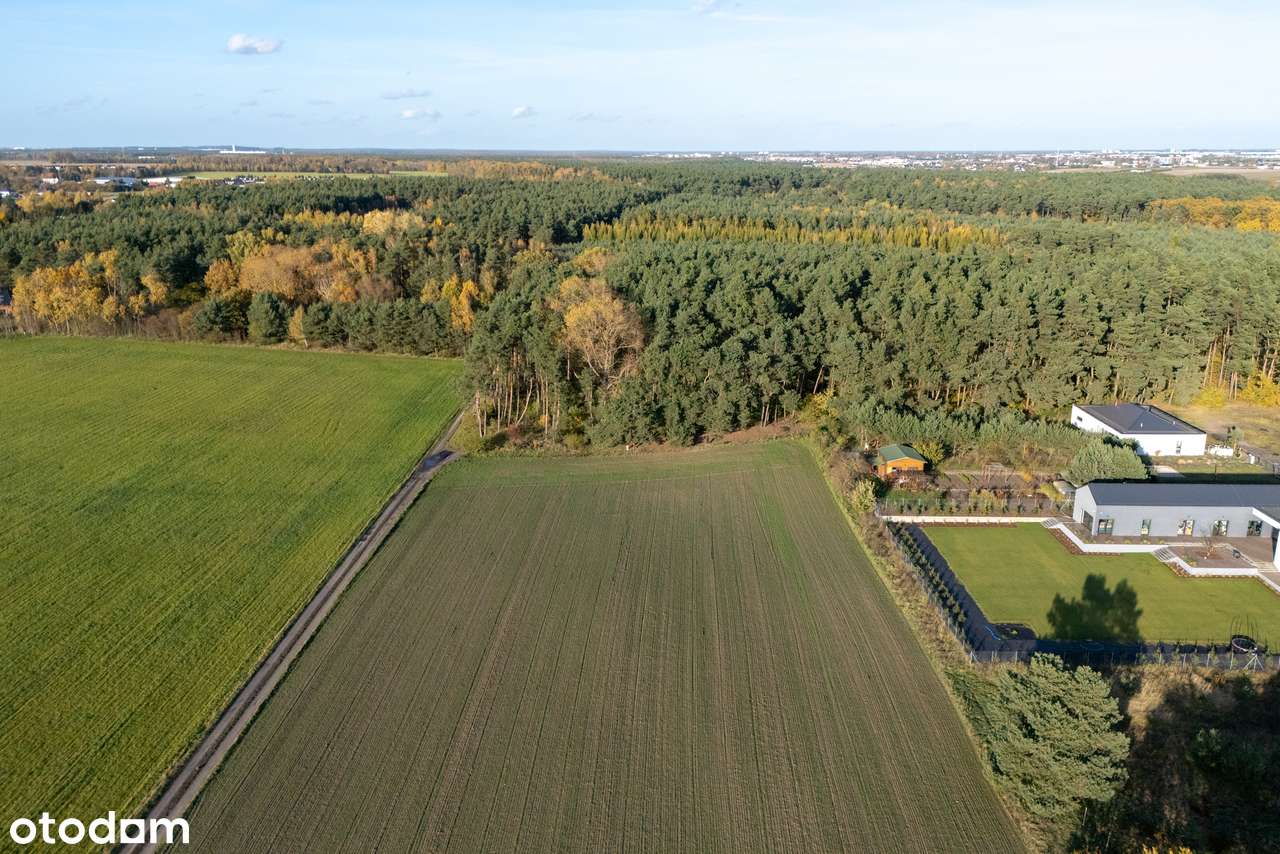 Działka 1674 m² – Poznań, Szczepankowo • WZ • tuż przy lesie • nr 2/3-7