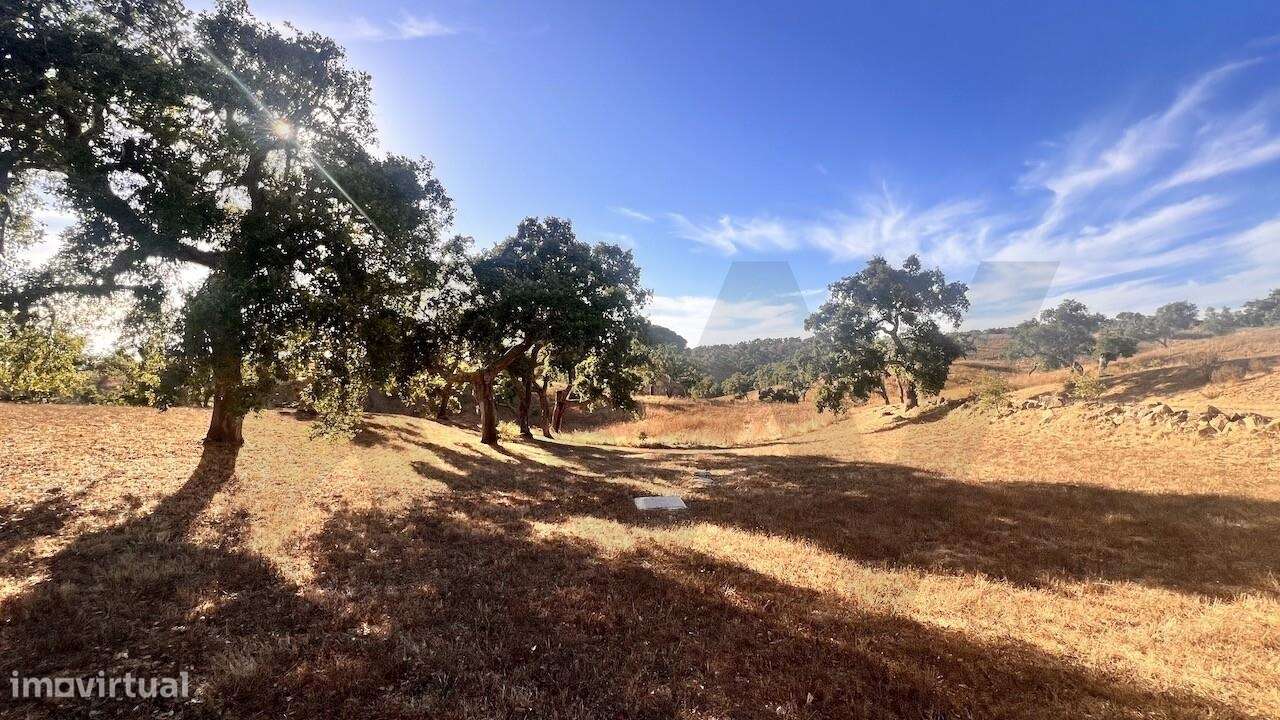 Propriedade única na Serra de Grândola - Terreno de 6,9 ha com vista p-47