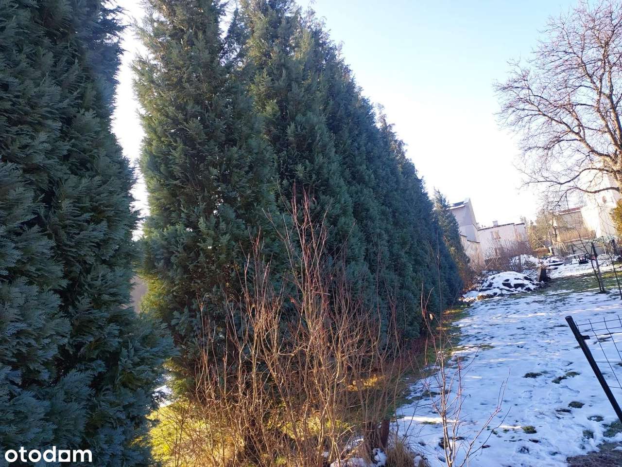 UNIKATOWA DZIAŁKA W CENTRUM ŻOR – POZWOLENIE NA 2 DOMY-1