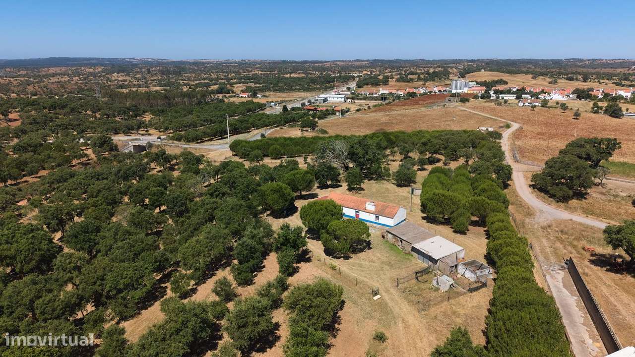 Monte Alentejano com propriedade de 13 HA-23