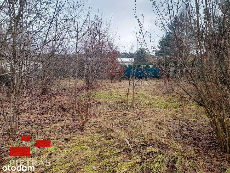 ok Stęszewa-Sapowice  fajna działka pod własny dom - Pełny obrazek: 5/14