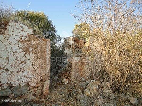 3 hectares de terreno com ruína - Grande imagem: 5/7