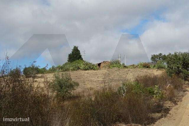MONTE BRANCO DA VINHA COM POSSIBILIDADE DE CONSTRUÇÃO - SANTANA DA SER - Grande imagem: 3/14