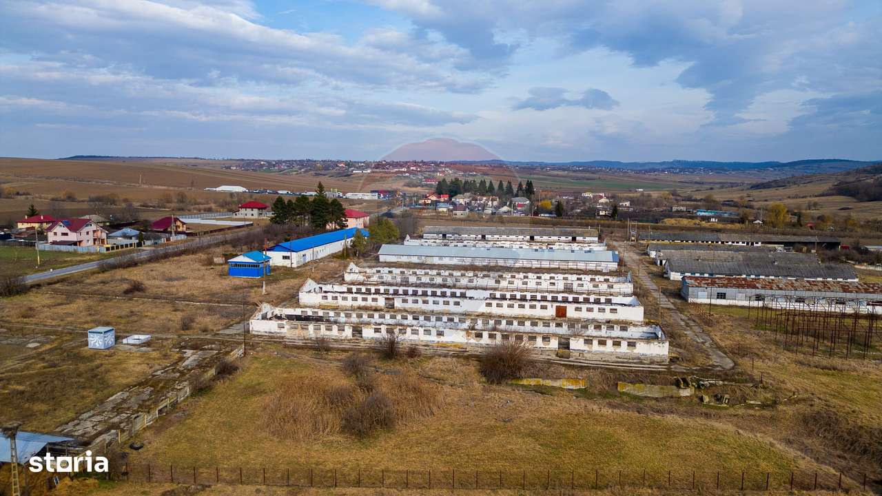 Teren  intravilan in sat Zapodia, com. Traian, jud. Bacău, 36.200mp, - Imagine principală: 5/13