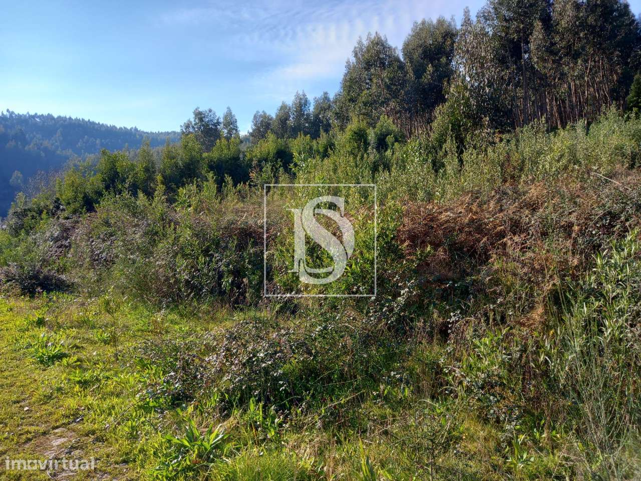 Terreno  Venda em Gamil e Midões,Barcelos - Grande imagem: 5/7