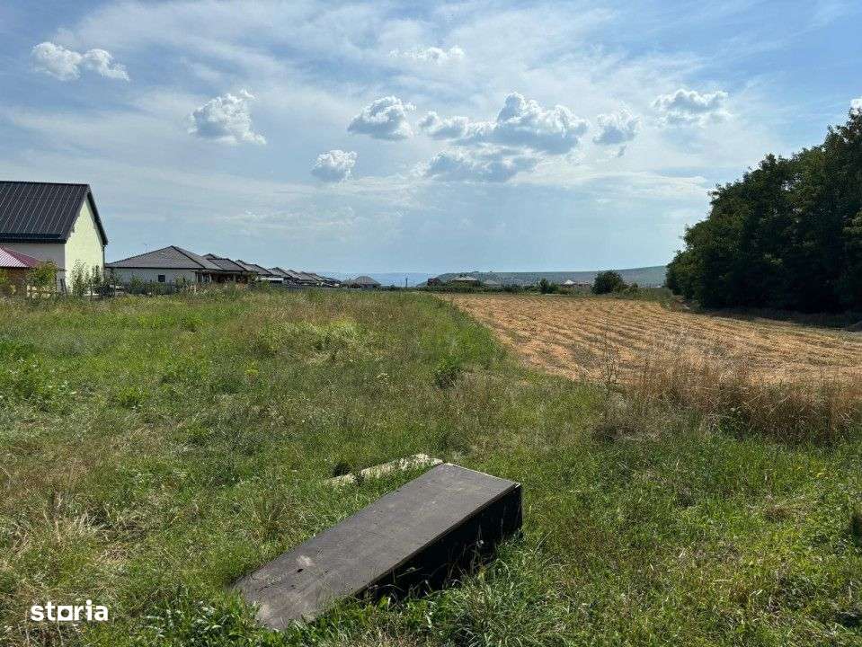 Teren Intravilan de Vanzare,Suprafata de 4120mp in Jucu de Mijloc - Imagine principală: 2/2