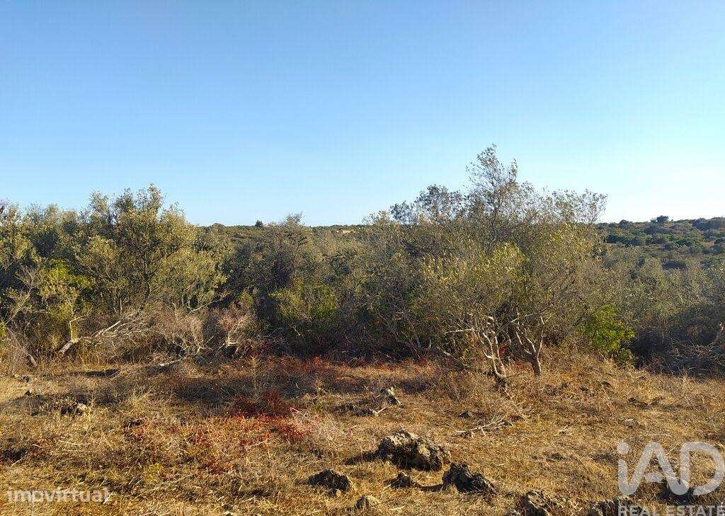 Terreno de Lazer em Bensafrim e Barão de São João de 6240,00 m2 - Grande imagem: 5/11