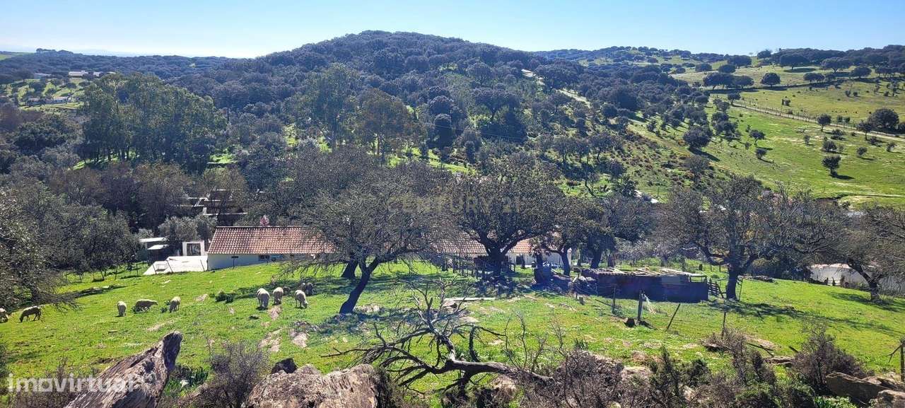 Monte Alentejano em Pardais: O Refúgio Perfeito!-42