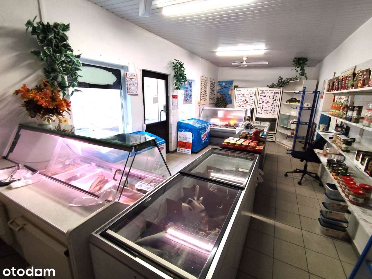 Lokal użytkowy na sprzedaż, Nysa Os. Gałczyńskiego-5