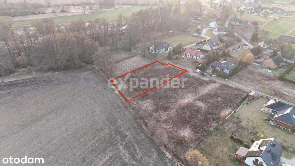 Ślepa ulica - willowa okolica - Przy ścianie Drzew - Pełny obrazek: 5/10