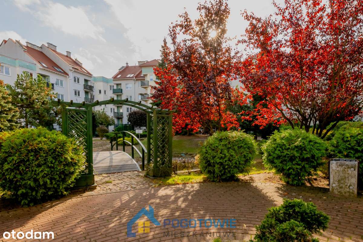 3-pokojowe mieszkanie z nową kuchnią, z nowym sprzętem AGD-0