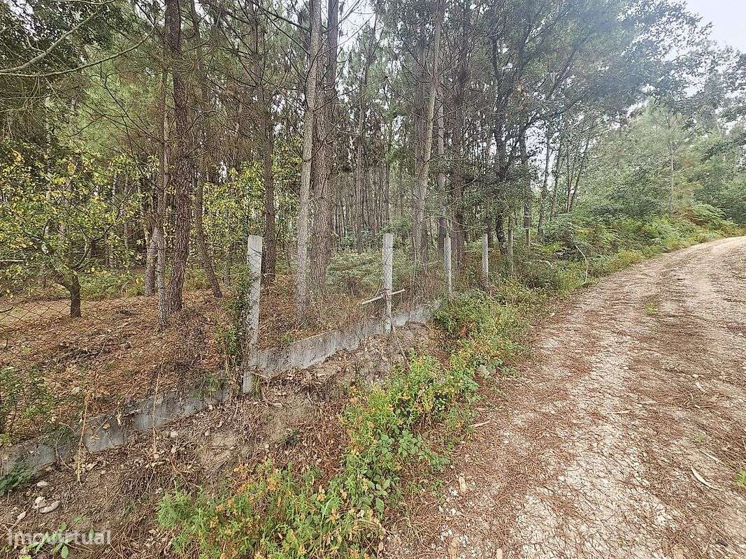 Terreno  para venda - Grande imagem: 5/11