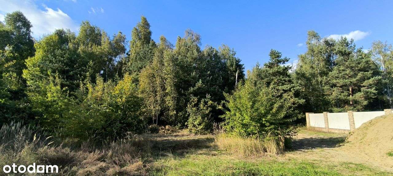 Piękna działka przy lesie ✨Pnb na willę-5