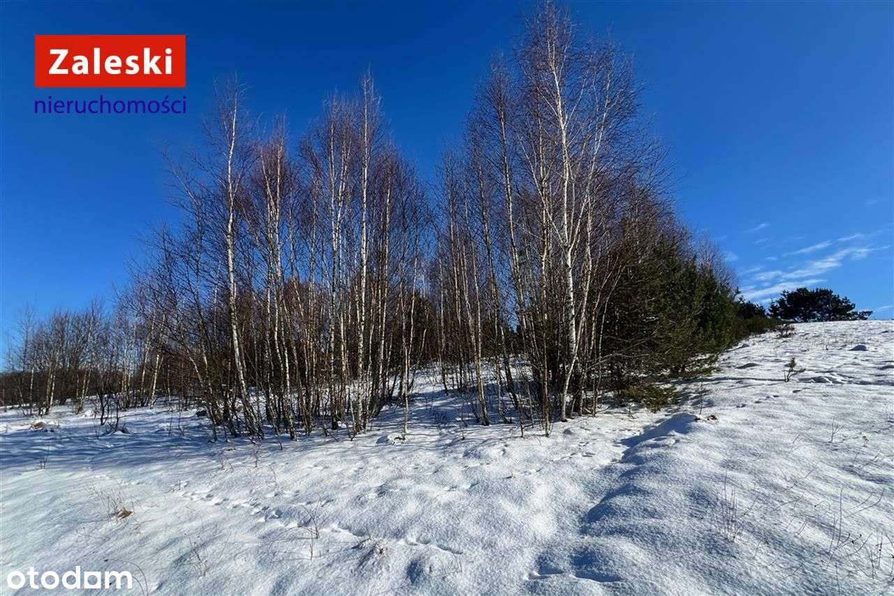 Działka siedliskowa w wydanymi warunkami zabudowy - Pełny obrazek: 4/11