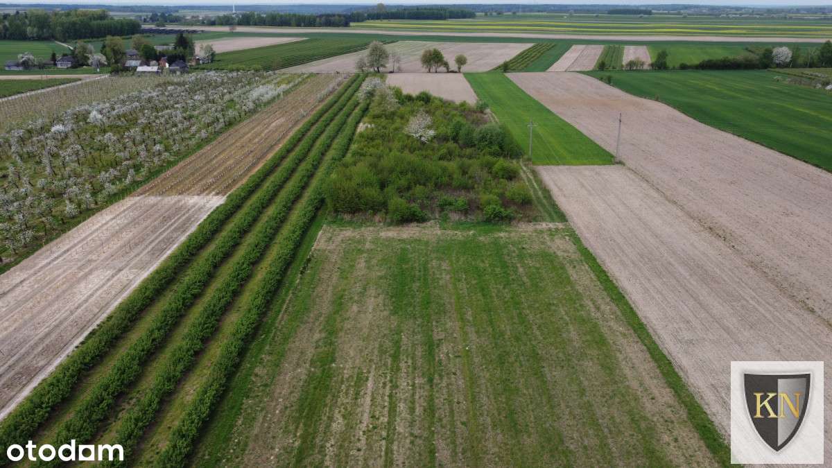 Siedlisko z zabudowaniami-13