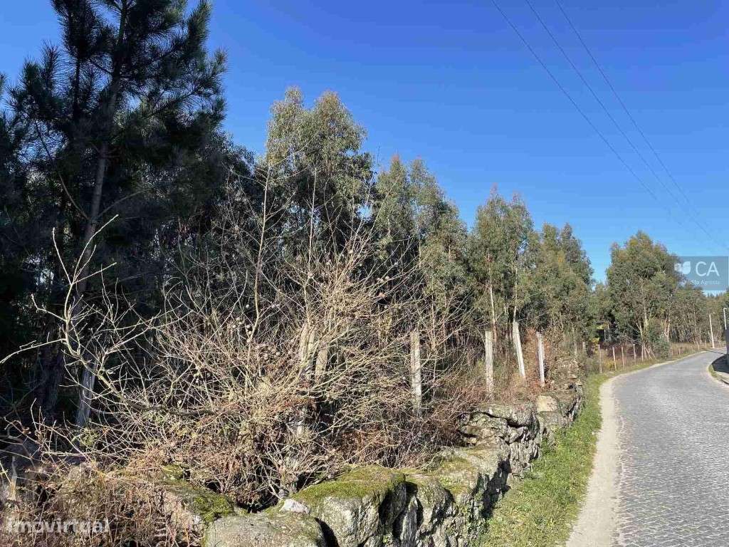 Terreno construção/industrial - Grande imagem: 3/4