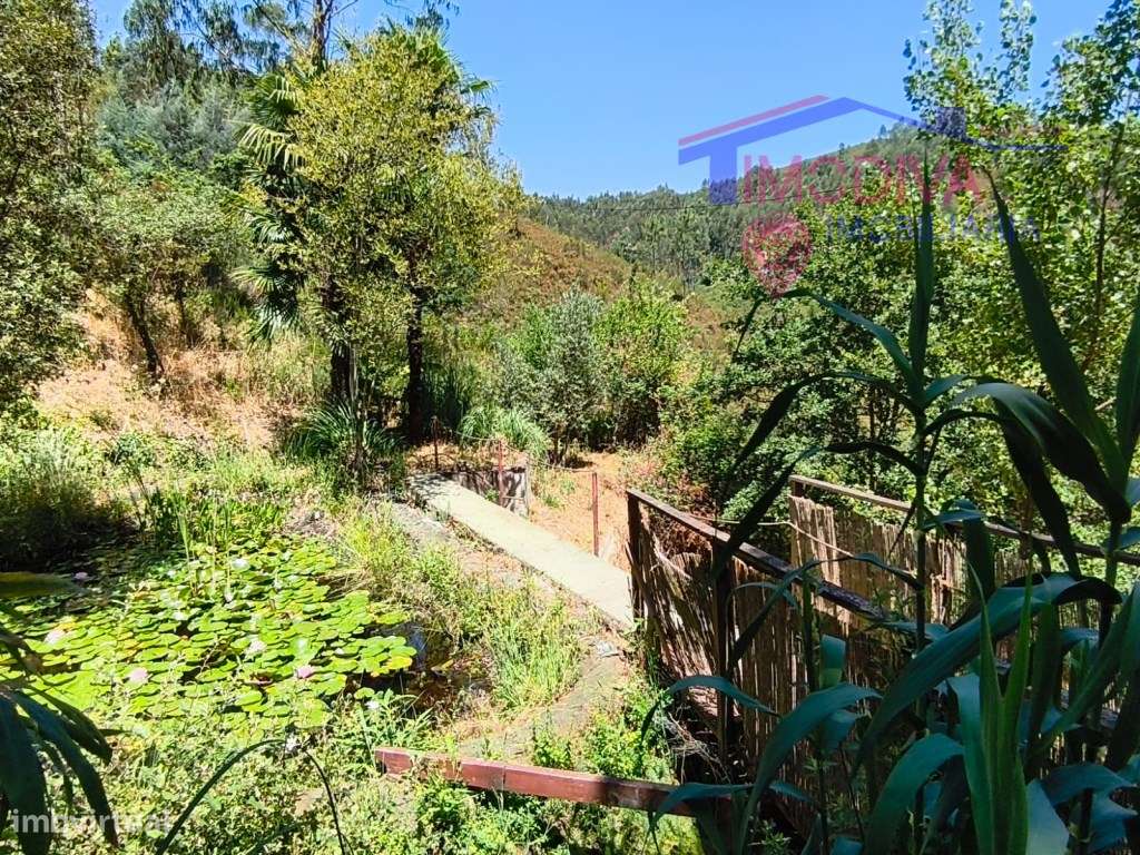 Propriedade com moradia, anexo, piscina e terreno com mais 2 ha-12