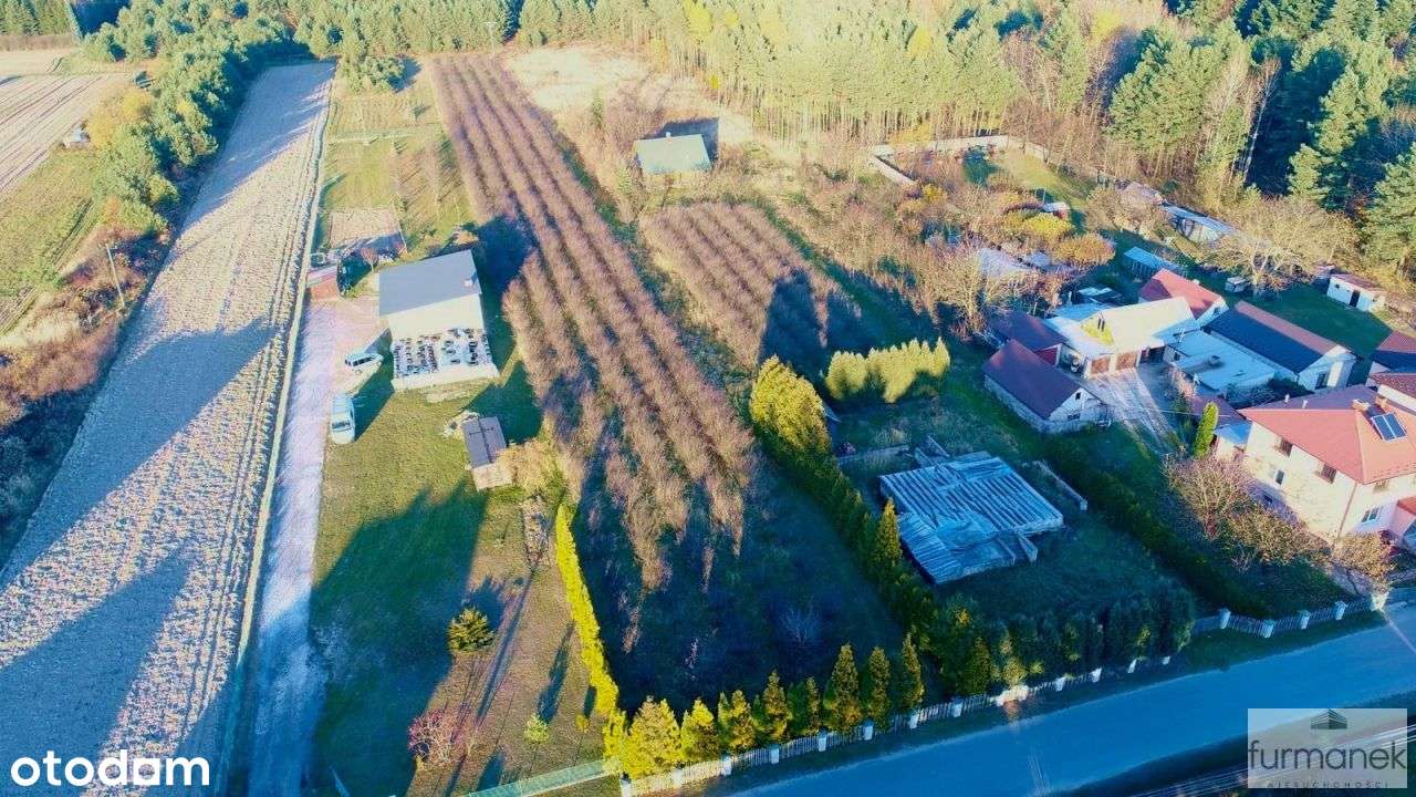 Działka pod budowę wymarzonego domu na Roztoczu - Pełny obrazek: 4/11