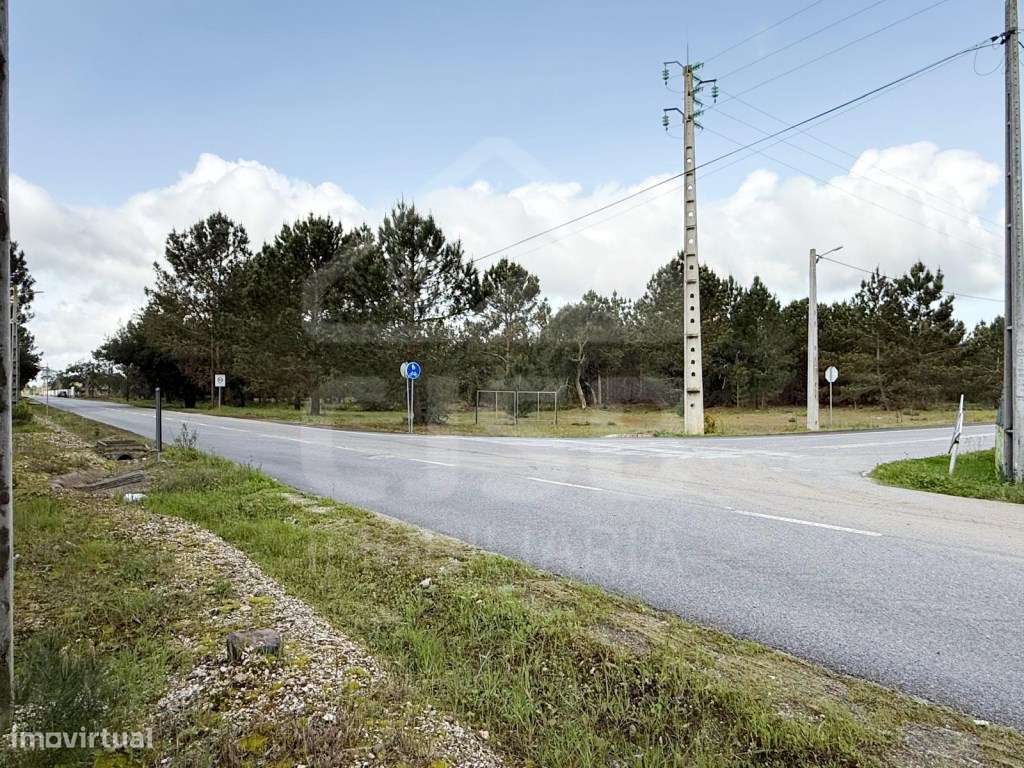 Oportunidade - 5 ha | Zona Industrial Salvaterra de Magos-3