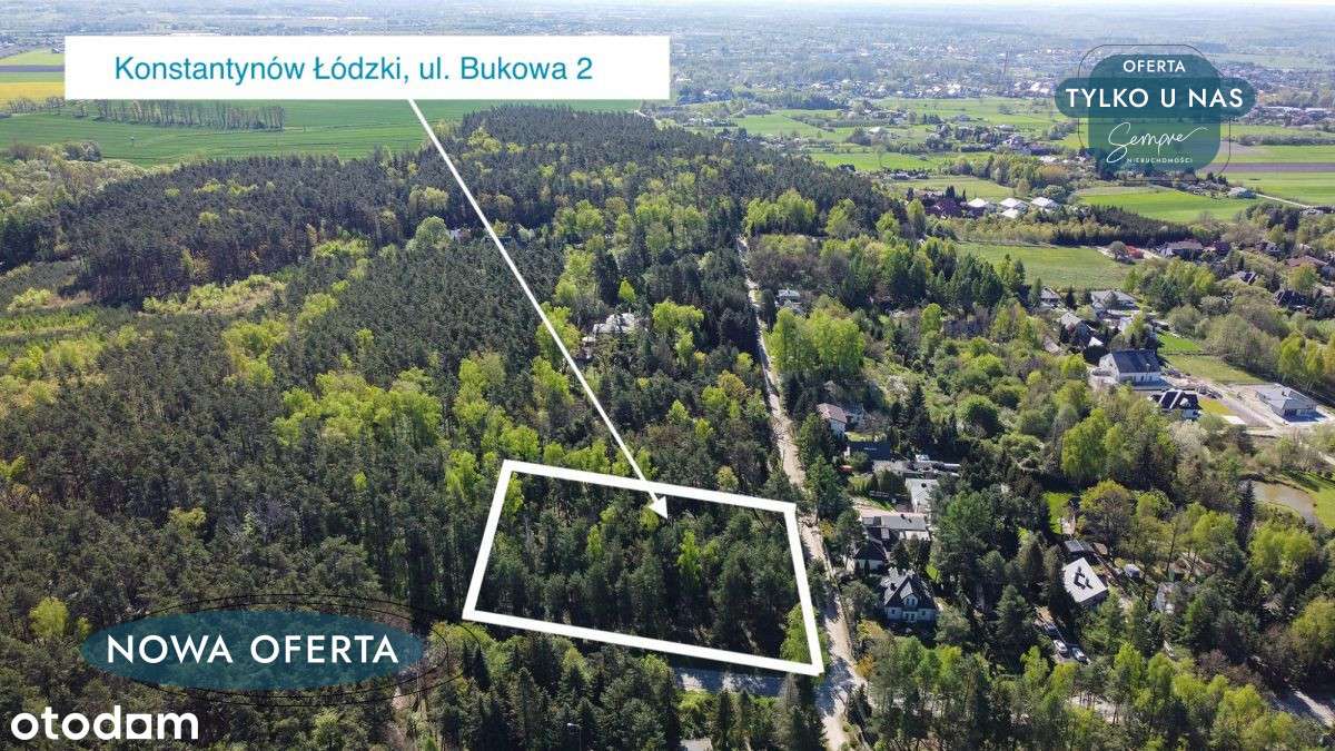 Najpiękniejsza w Żabiczkach - Pełny obrazek: 5/7