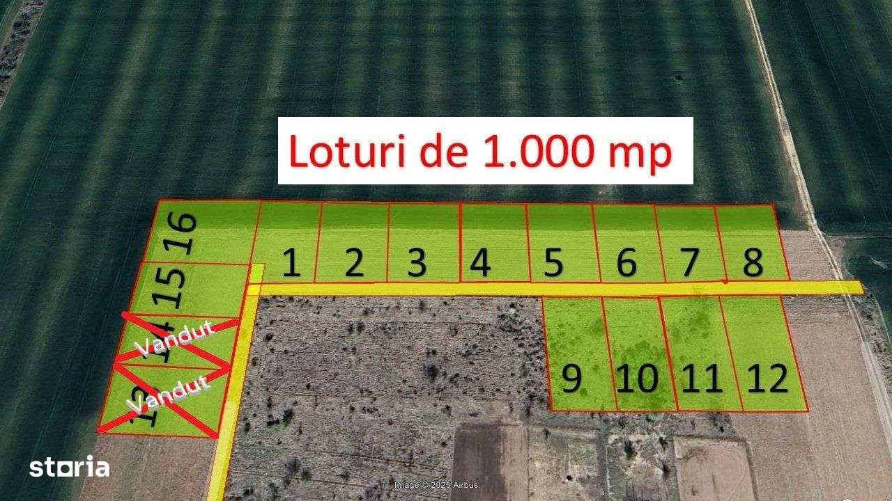 Loturi de casa -  1.000 mp intravilan - Strada Scolii - Ciolpani Ilfov - Imagine principală: 2/4